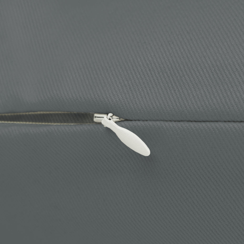 Lions Throw Pillow - Blue & Silver Football Fan Cushion, Game Day Home Décor, Sports Gift