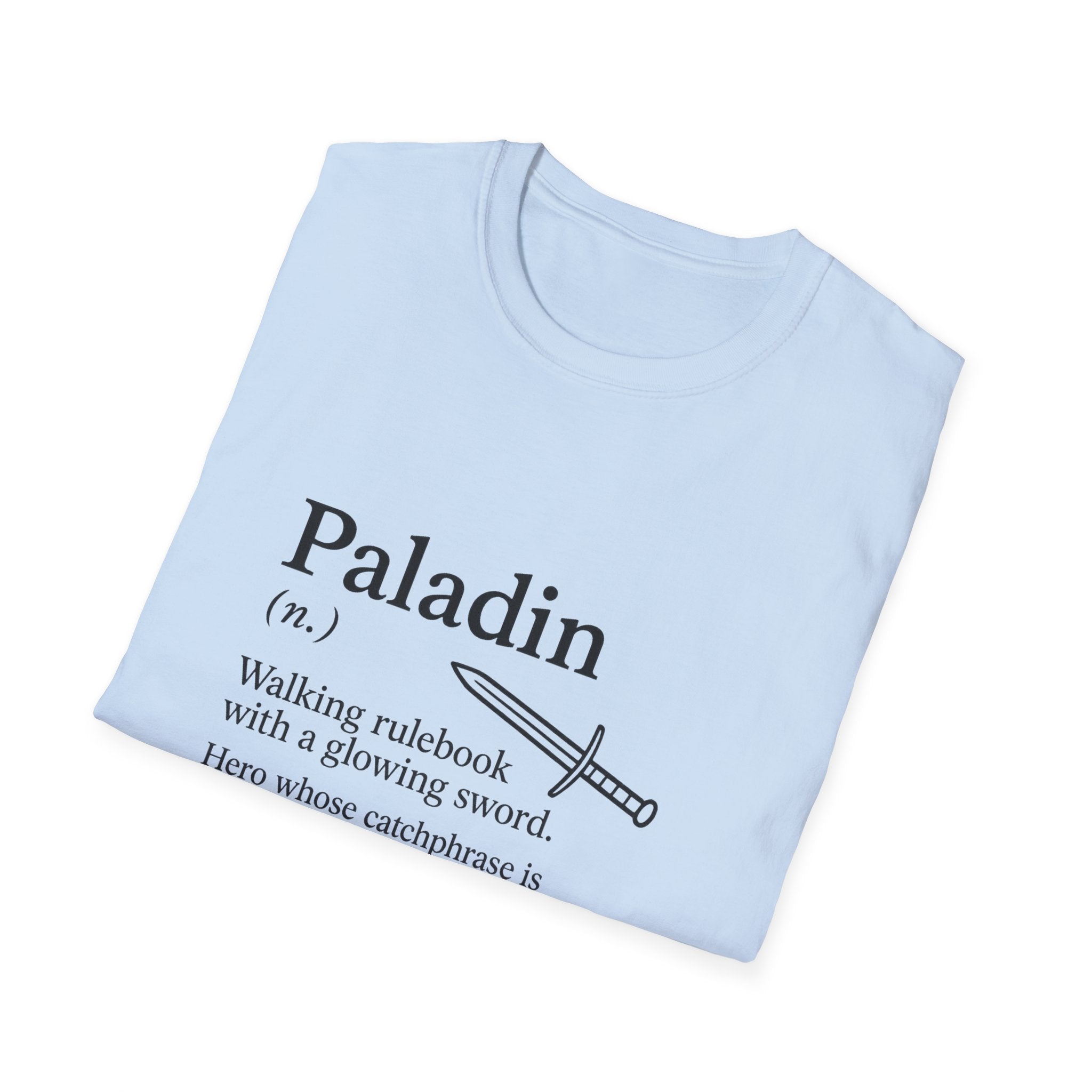 Paladin Class T-Shirt - Funny Dungeons & Dragons Tee