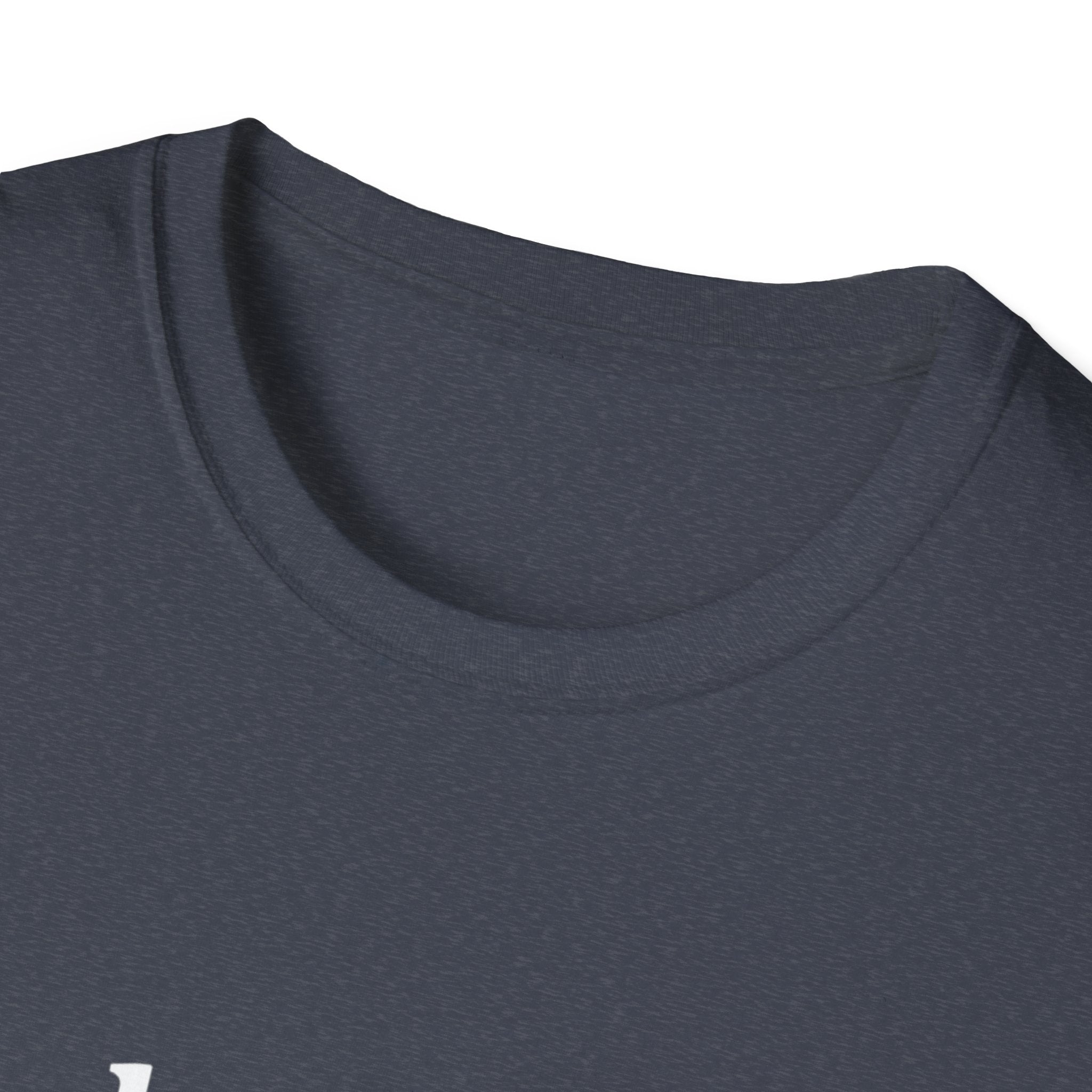 Paladin Class T-Shirt - Funny Dungeons & Dragons Tee