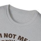 Cute Hedgehog T-Shirt, Funny Animal Tee, Spicy Nice Shirt, Gift for Hedgehog Lovers, Unisex Softstyle Top