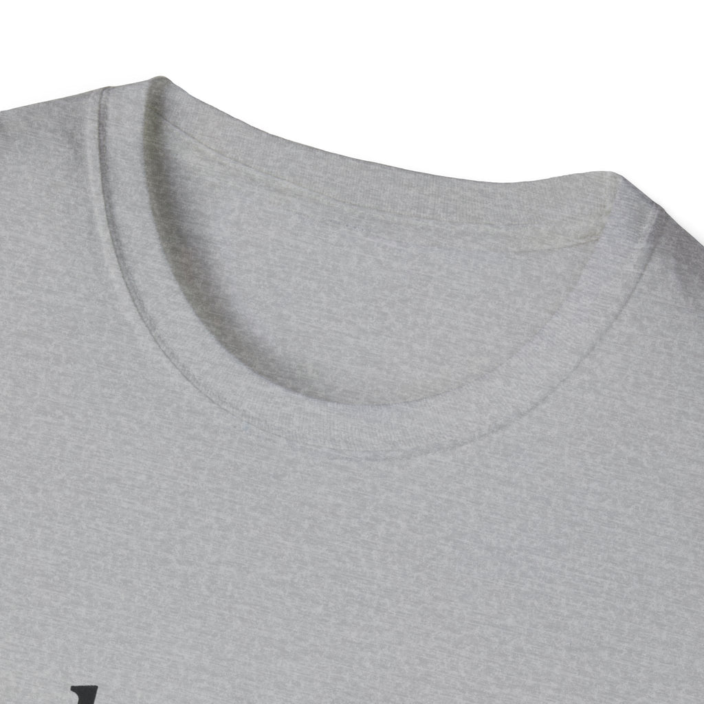 Paladin Class T-Shirt - Funny Dungeons & Dragons Tee