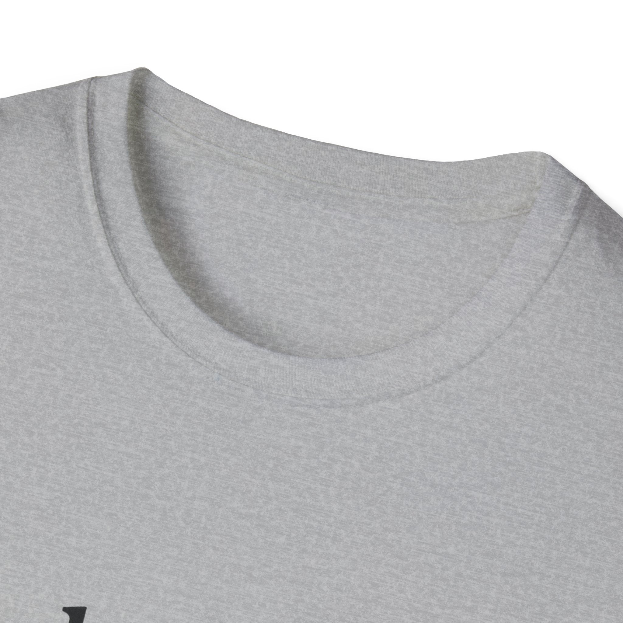 Paladin Class T-Shirt - Funny Dungeons & Dragons Tee