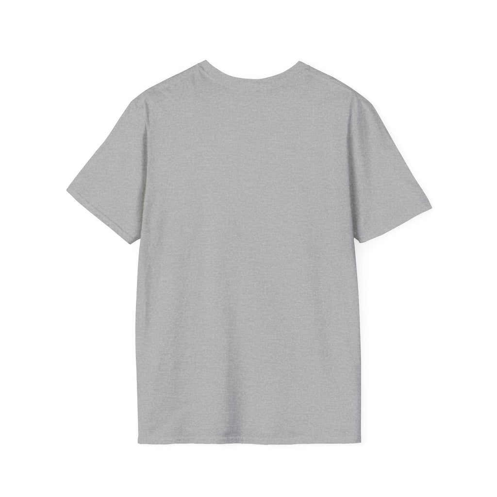 Paladin Class T-Shirt - Funny Dungeons & Dragons Tee