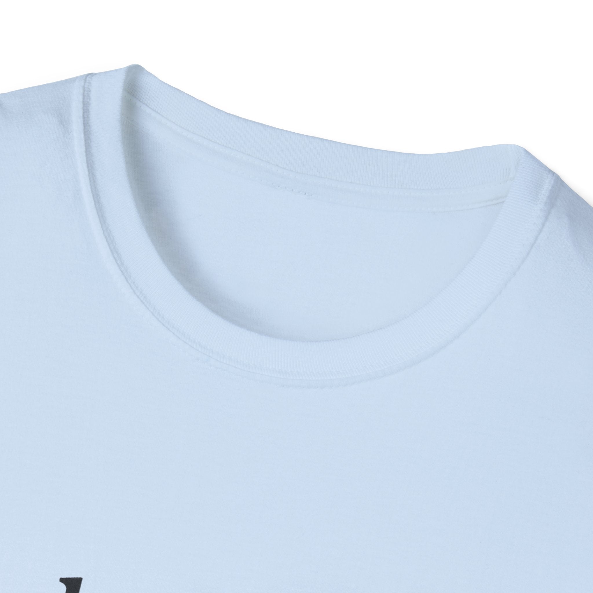 Paladin Class T-Shirt - Funny Dungeons & Dragons Tee
