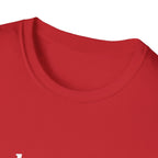Paladin Class T-Shirt - Funny Dungeons & Dragons Tee