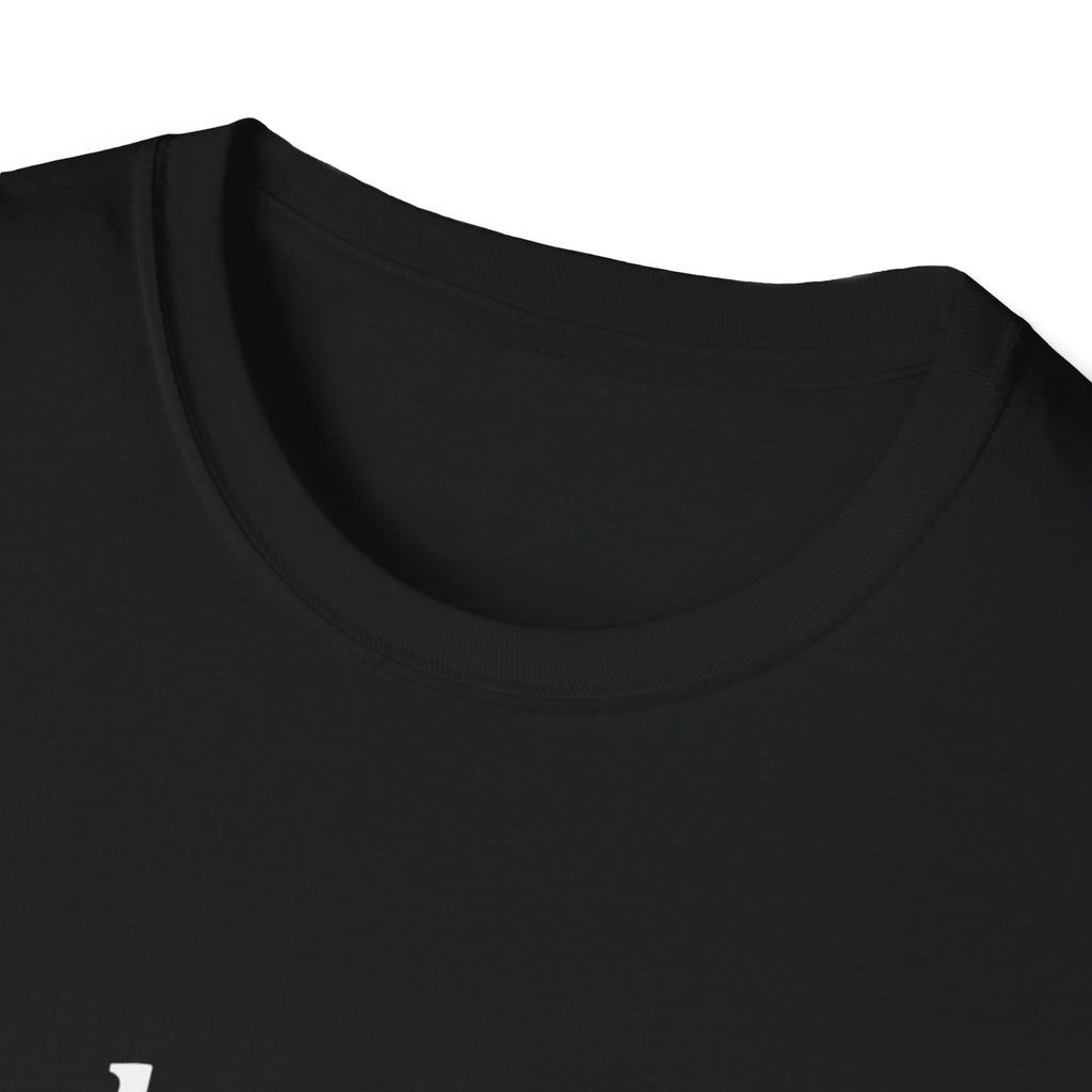 Paladin Class T-Shirt - Funny Dungeons & Dragons Tee