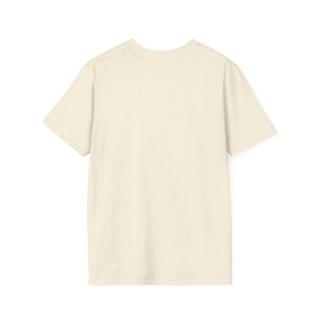 Paladin Class T-Shirt - Funny Dungeons & Dragons Tee