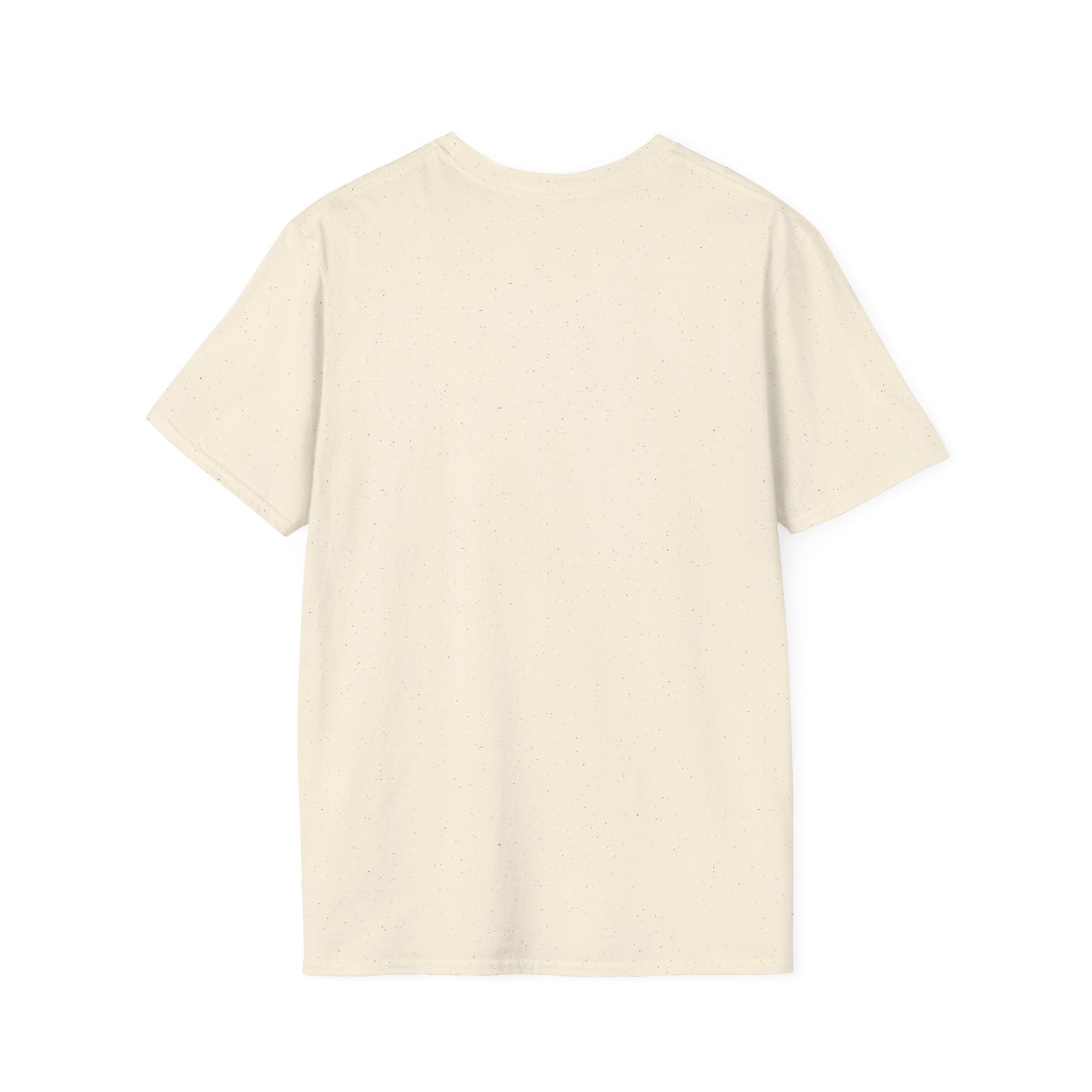 Paladin Class T-Shirt - Funny Dungeons & Dragons Tee