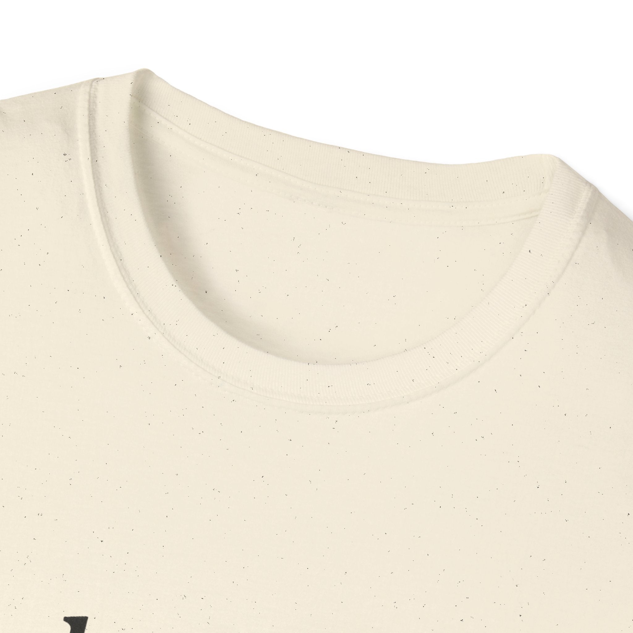 Paladin Class T-Shirt - Funny Dungeons & Dragons Tee