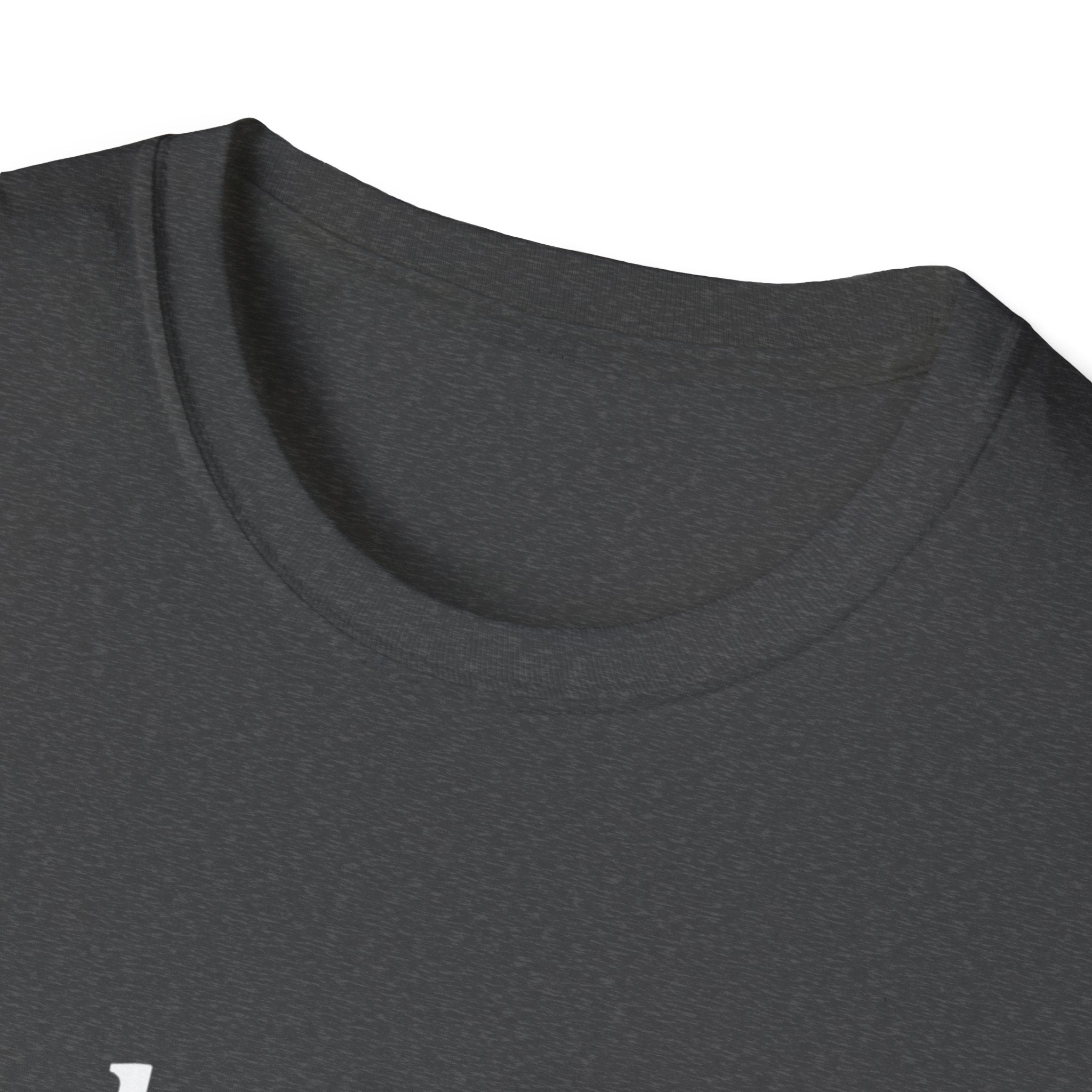 Paladin Class T-Shirt - Funny Dungeons & Dragons Tee