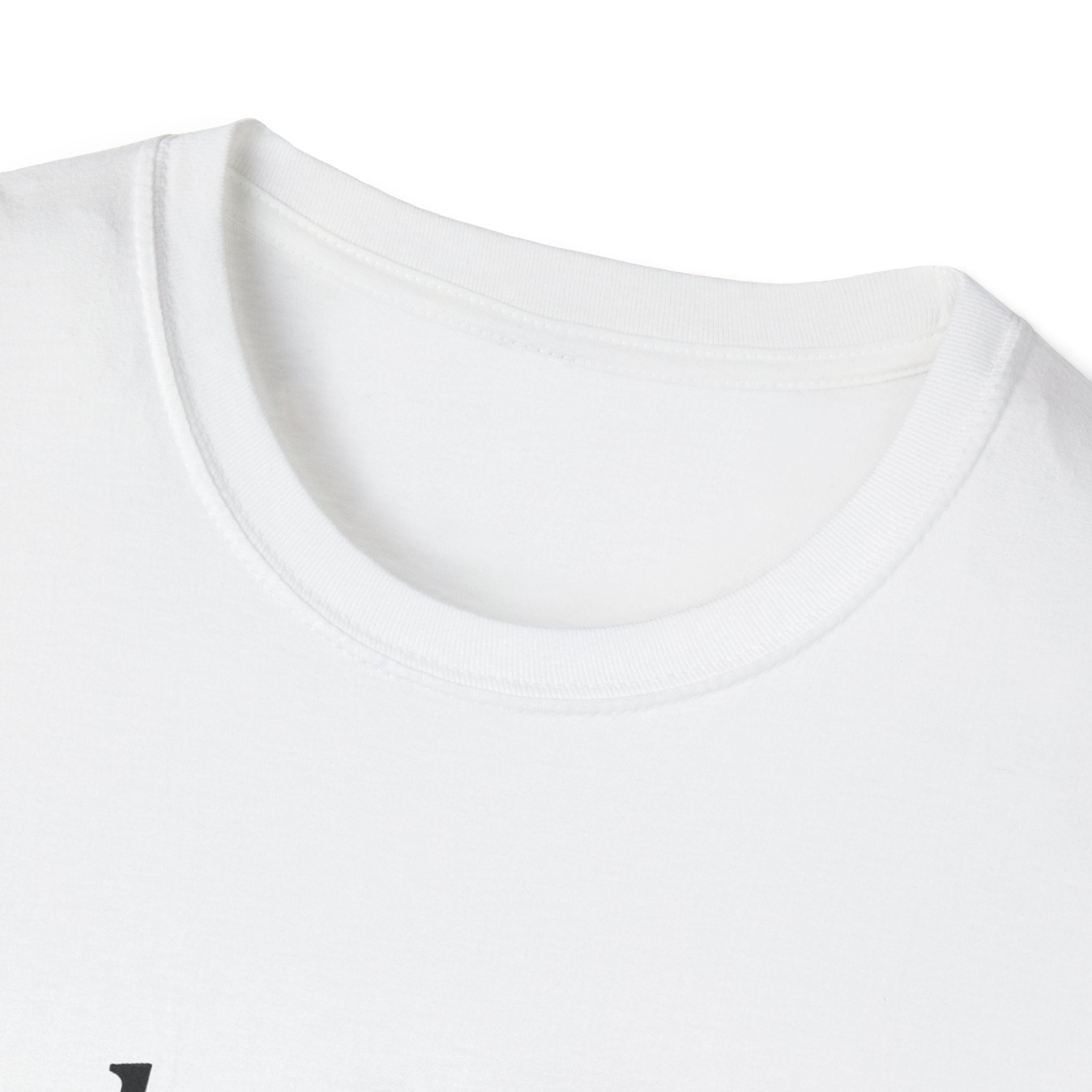 Paladin Class T-Shirt - Funny Dungeons & Dragons Tee